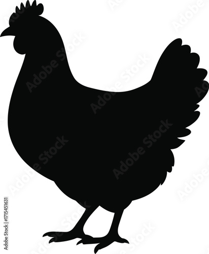 Black chicken silhouette poultry bird