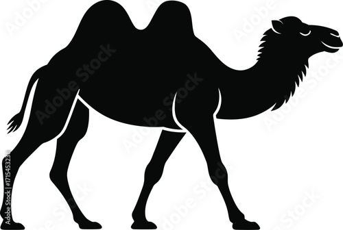 Black camel silhouette walking dromedary animal