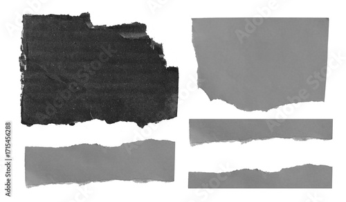 Wallpaper Mural Recycled craft torn tear rip paper texture as background. Torontodigital.ca