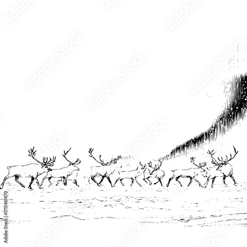 A herd of reindeer running across a snowy landscape under the aurora borealis in black and white style