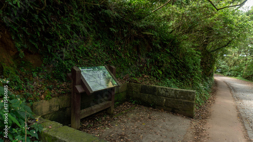 Lush Forest Trail with Informative Sign