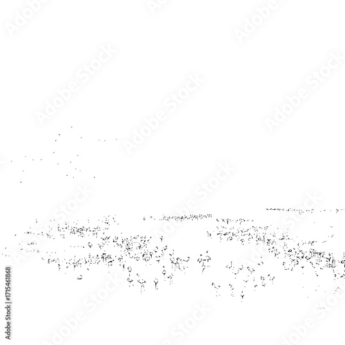 Monochrome representation of a field with scattered objects under a bright sky with some indistinct shapes