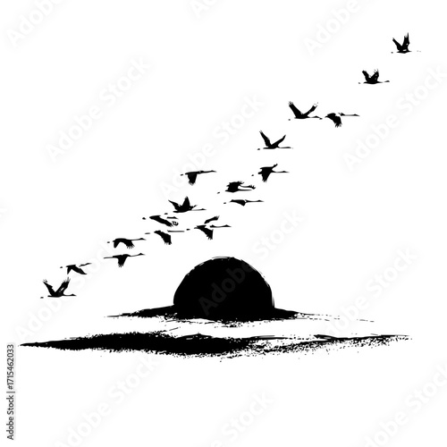 Silhouette of birds flying over a dark landscape with a rounded shape in the background at daytime