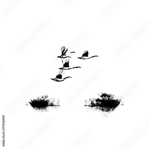 Silhouette image of a flock of geese flying over water with reflections of trees on a white background