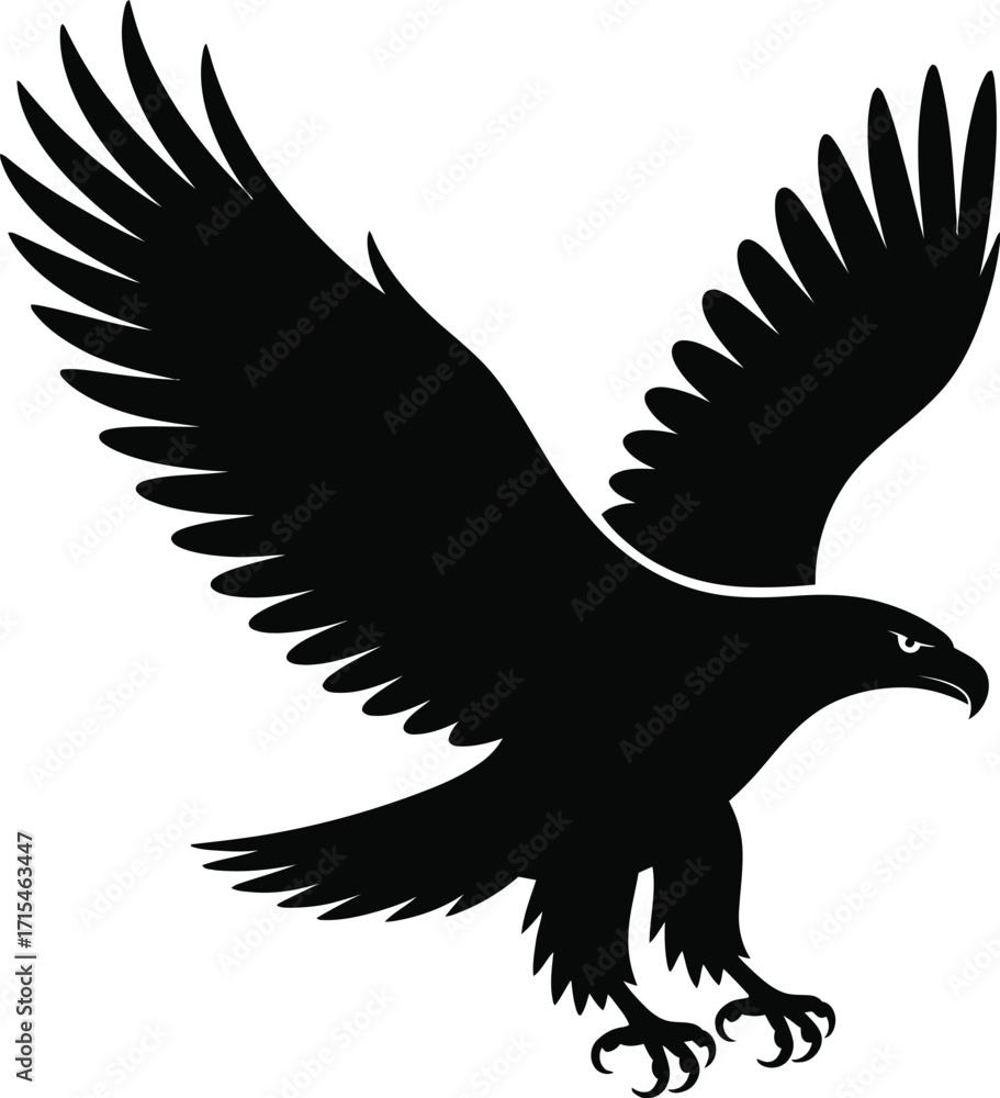 Obraz premium Black eagle in flight vector silhouette bird flying
