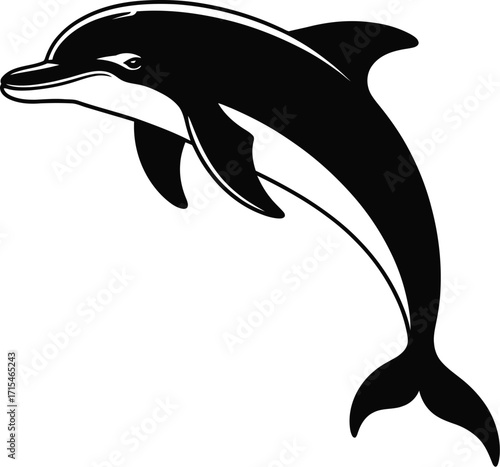 Leaping dolphin silhouette jumping marine mammal