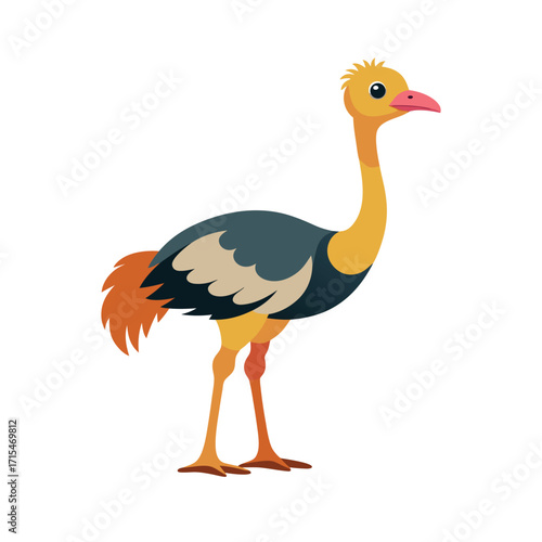 Ostrich White Background