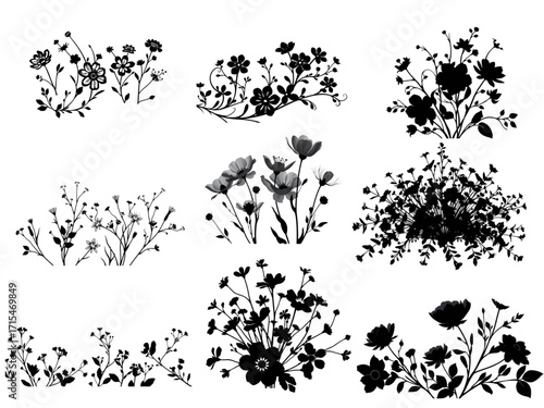 Explore This New Vector Collection of Beautiful Flowers, Each a Unique Silhouette Design, Perfect for a Minimalist and Elegant Look on a Transparent Background. For wonderful wedding cards and flower 