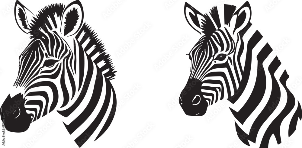 Fototapeta premium Vector zebra illustration with detailed face and striking patterns