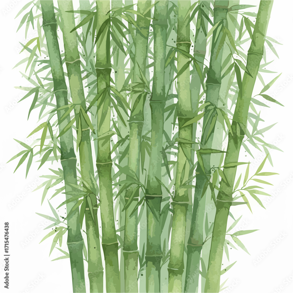 Obraz premium Watercolor Bamboo Stalks and Leaves Isolated on White Background