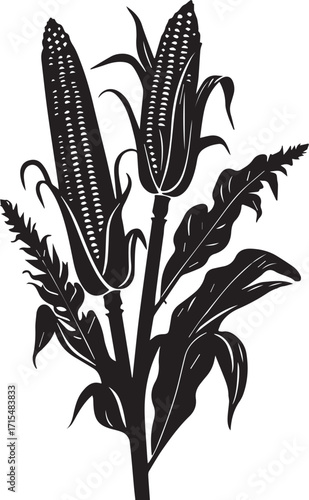 Lush corn growing vegetable farms producing seasonal harvest for local markets