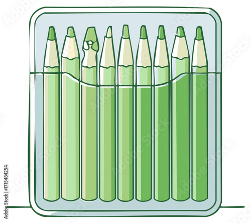 Hand drawn green colored pencils in clear case for school art projects and creative supplies illustration