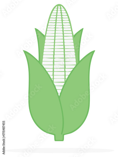 Simple stylized illustration of a fresh green corn cob with kernels and leaves