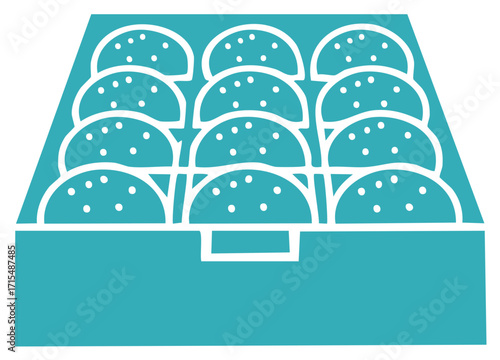 Twelve Hamburger Buns Arranged in Cardboard Tray Container