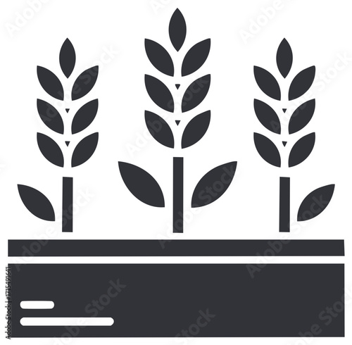 Three Stylized Wheat Stalks Growing in Soil Icon Vector