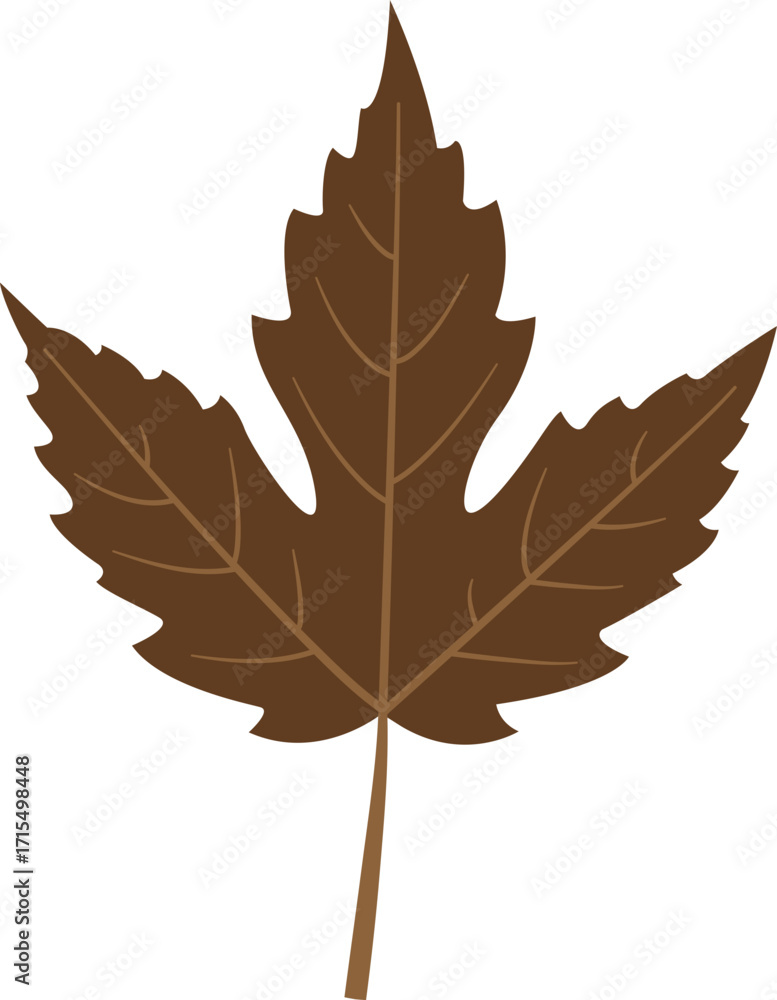 Fototapeta premium Vector illustration of autumn leaf