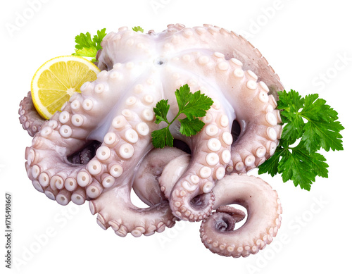 fresh raw octopus isolated on transparent png