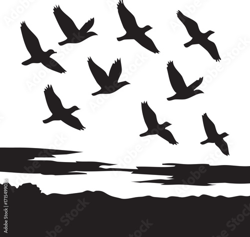 Silhouette of birds flying at dusk