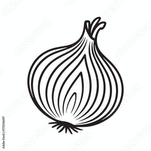 Continuous Simple black line art drawing of a onion in a minimalist style on a white background.