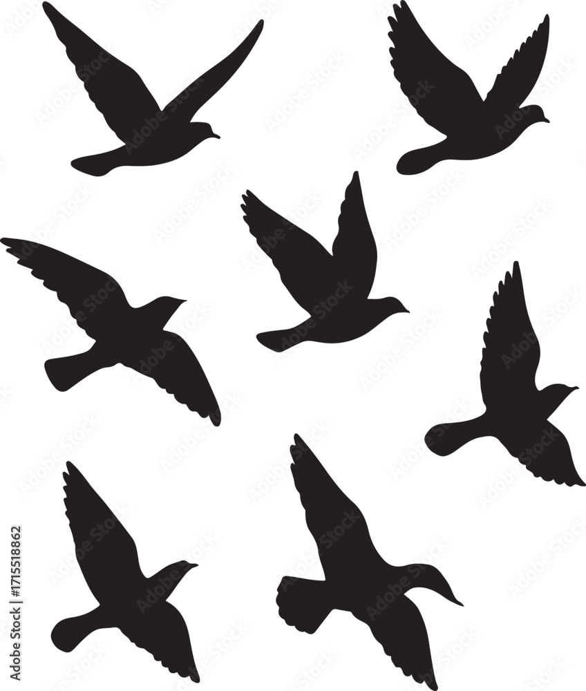 Obraz premium Seven Black Bird Silhouettes in Flight Against a White Background