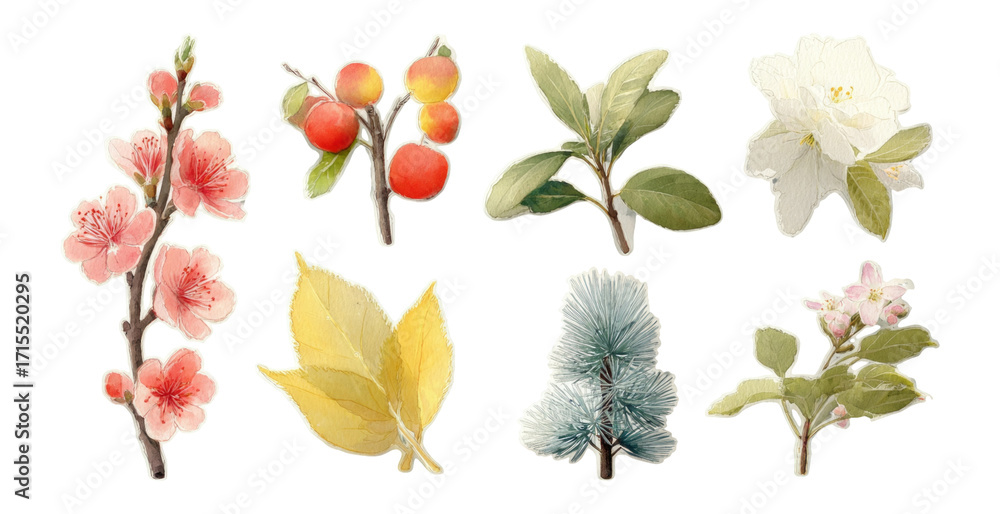Obraz premium Elegant Botanical Illustrations of Flowers and Leaves on Transparent Background