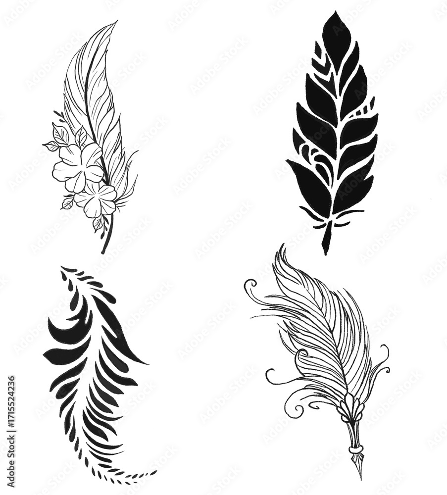 Obraz premium drawing feather illustrations design for templates.
