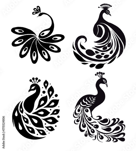 Peacock  drawing leaf illustrations design for templates.	