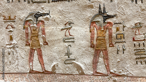 Relief of Anubis and Thoth with hieroglyphics in Tomb of Ramesses V and VI KV9