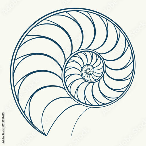 A stylized geometric illustration of a nautilus shell s logarithmic spiral pattern in dark blue outline on a cream background