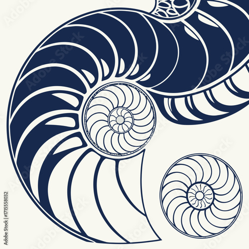Elegant abstract illustration of a nautilus shell cross section with dark blue lines and curves on a cream background