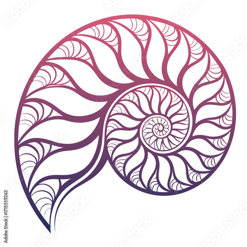 Intricate gradient purple and pink nautilus shell spiral pattern with delicate line art and organic flowing curves on a white background
