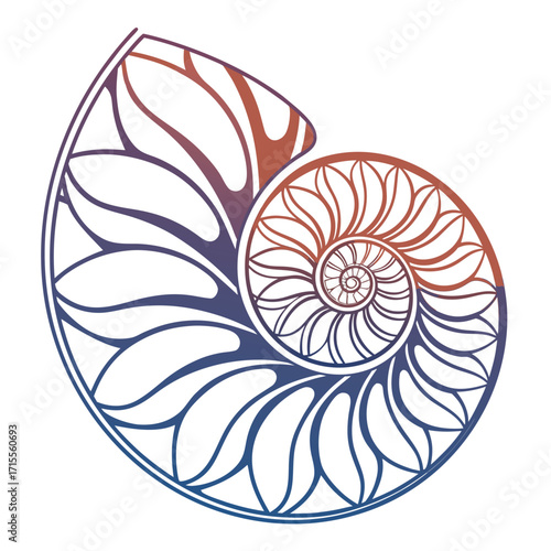 Stylized nautilus shell spiral with gradient colors transitioning from blue to orange and purple on a white background