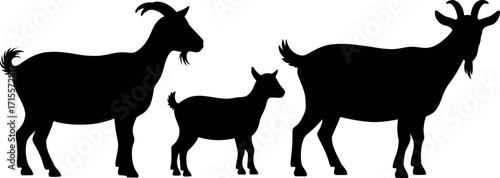 Silhouetted family of goats grazing on a vector