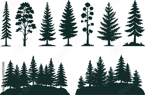 Diverse evergreen forest silhouettes collection pine fir spruce trees woodland nature scene vector elements vector