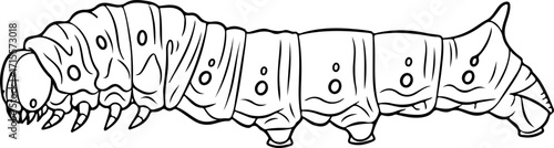 Vector art of line drawing of a silkworm caterpillar
