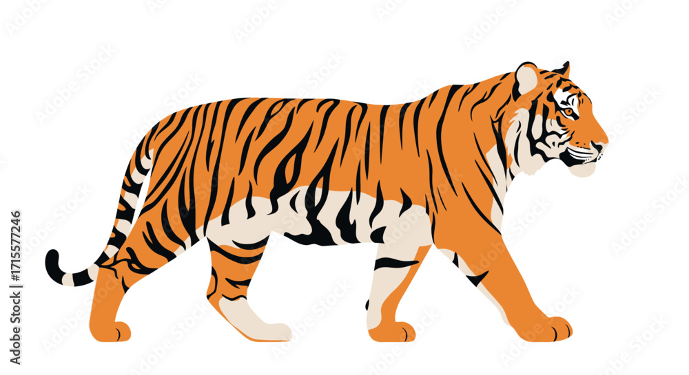 Obraz premium Striking Tiger Walking Animal Illustration on white background