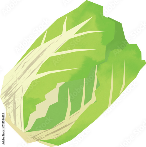 切り絵風の白菜