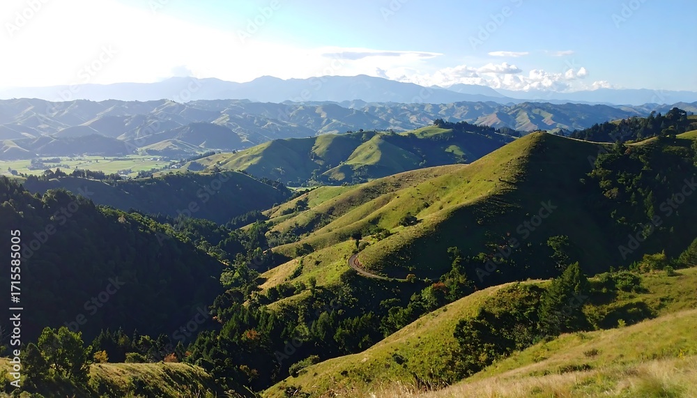 Naklejka premium Serene Rolling Hills and Lush Green Valleys