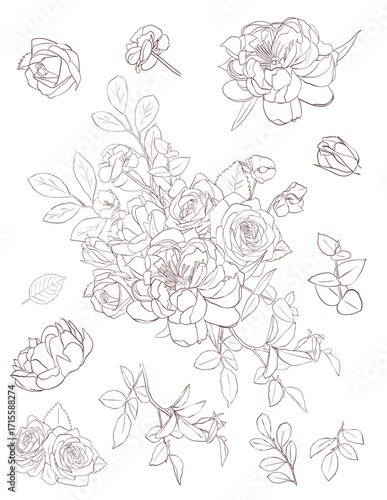 Flowers arrangement vector