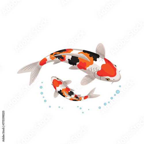 Koi Fish Pond Two Colorful Koi Carp Swimming Japanese Fish Aquatic Life Nature Top View