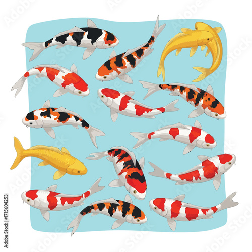 Koi Fish Pond Colorful Carp Fish Asian Fish Illustration Aquatic Life Nature Vector Graphic