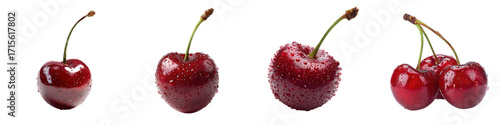 Fresh Cherry Berries Displayed in Various Stages of Ripeness