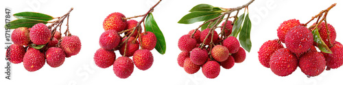 Fresh Lychee Fruits on Branches with Green Leaves Transparent Background