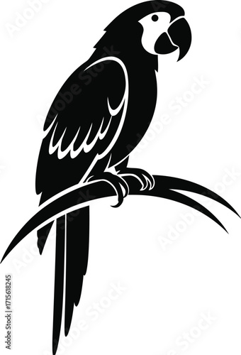 Elegant black macaw perched on a stylized branch, avian silhouette