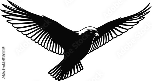 Elegant soaring bird illustration, wings spread, freedom and nature