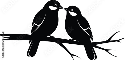 Two black birds perched on a branch, symbolizing love and companionship