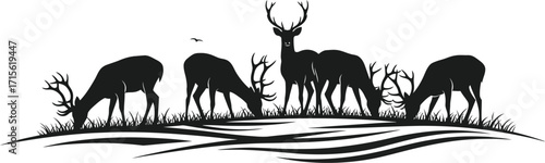 Silhouette deer herd grazing on a hill, wildlife and nature concept