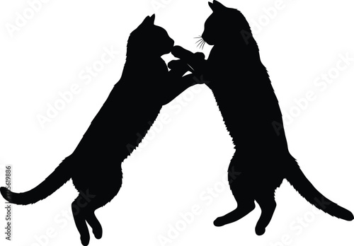Playful feline silhouettes, two cats interacting, domestic animals