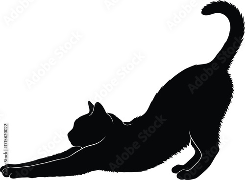 Stretching feline silhouette, elegant domestic animal, flexible posture