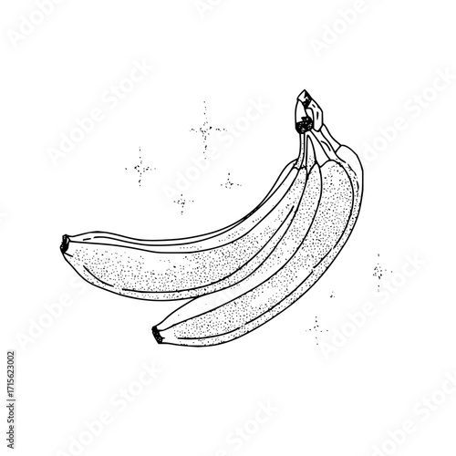 Illustration of a bunch of bananas with visible stippling and a few star like shapes in the background